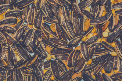 Full frame shot of sunflower seeds