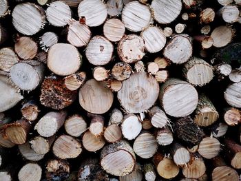 Full frame shot of logs in forest