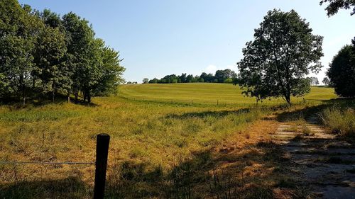 Scenic view of field against sky