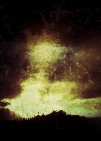 View of trees at night