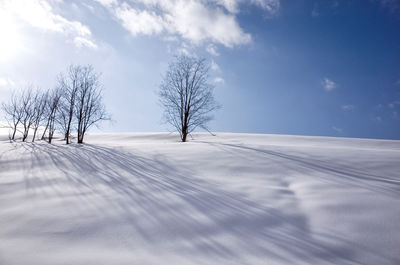 Bare trees on snow covered field against sky