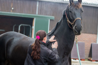 Woman touching horse while standing in ranch