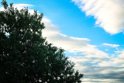 Low angle view of tree against cloudy sky