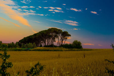 Scenic view of field against sky at sunset