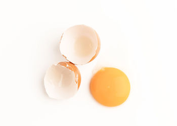 High angle view of eggs against white background