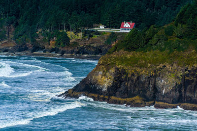 Scenic view of sea against trees