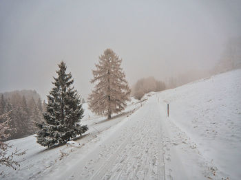 Snow covered land by trees against sky