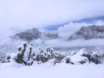 Snow covered land and mountains against sky