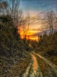 Road amidst trees on field against sky at sunset