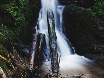 Scenic view of waterfall in forest