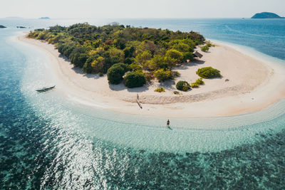 High angle view of trees on beach