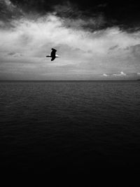 Silhouette bird flying over sea against sky