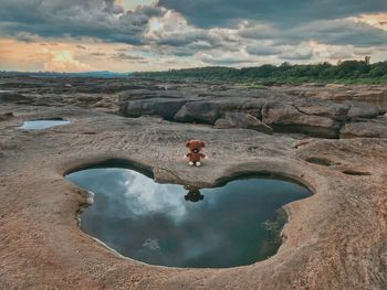 High angle view of teddy beach on rock against cloudy sky