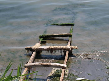 High angle view of wood in sea