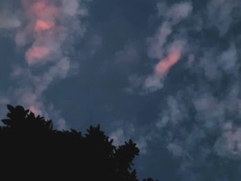 Low angle view of silhouette trees against sky at night