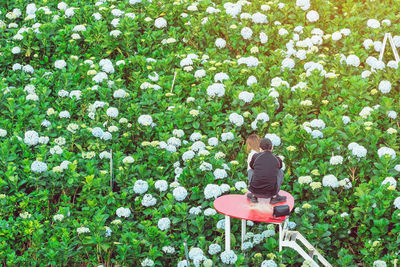 Rear view of person sitting on seat