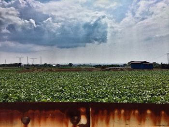 Scenic view of field against cloudy sky