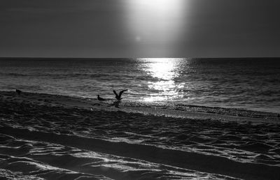 Silhouette man on beach against sky during sunset