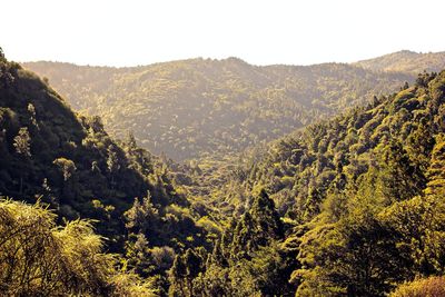Scenic view of mountains