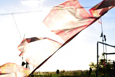 Low angle view of flags against sky