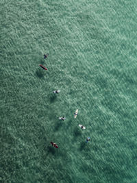 High angle view of people swimming in sea