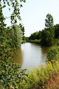 Scenic view of lake by trees against clear sky