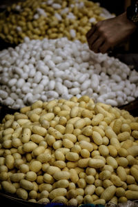 Close-up of hand for sale at market stall