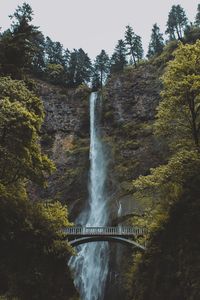 Scenic view of waterfall