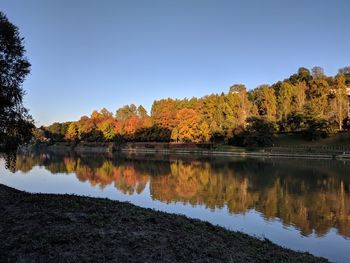 Scenic view of lake by trees against clear sky