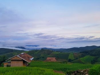 Scenic view of agricultural field by houses against sky