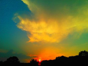 Silhouette of trees at sunset