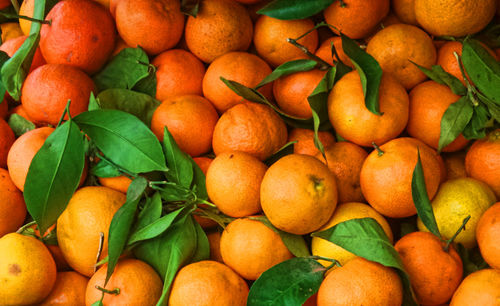 Full frame shot of oranges