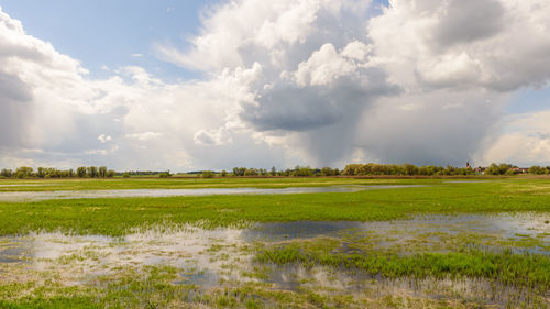 Scenic view of field against sky