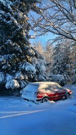 Car on snow covered tree against sky