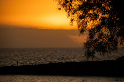 Silhouette tree by sea against sky during sunset