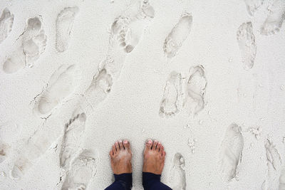 Low section of man standing on beach