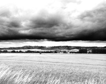 Scenic view of field against sky