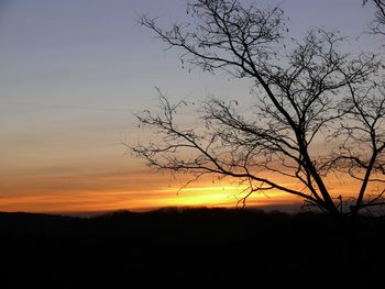 Silhouette tree against sky during sunset
