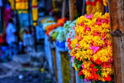 Close-up of multi colored flower plant hanging at market stall