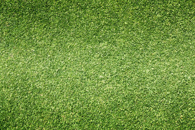 Full frame shot of soccer field