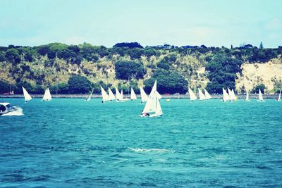 Sailboat in sea