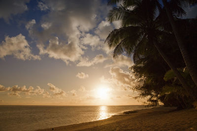 Scenic view of beach against sky during sunset