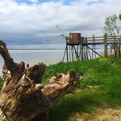 View of driftwood on beach against sky