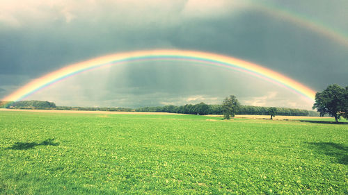 Scenic view of field against rainbow in sky