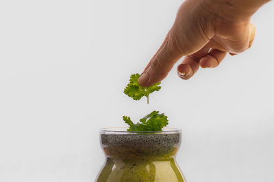 Close-up of hand holding apple against white background