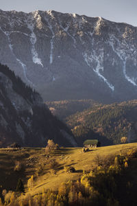 Aerial view of sheep on field against mountain range