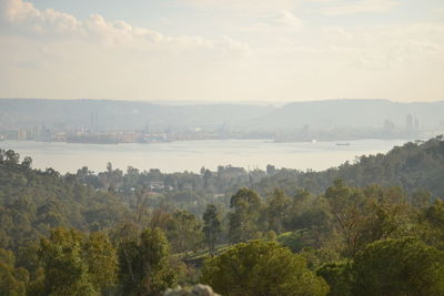 High angle view of trees on landscape against sky