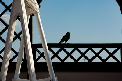 Low angle view of bird perching on roof against sky