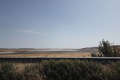 Scenic view of field against clear sky