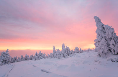 Snow covered land during sunset